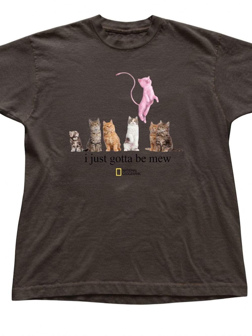 Gildan T-Shirt Cute Kitten Graphic Print Casual Soft Cotton Tee